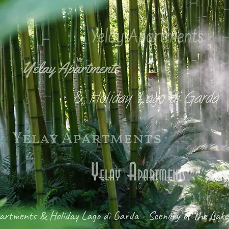 Yelay Apartments&holiday Lago Di Garda *