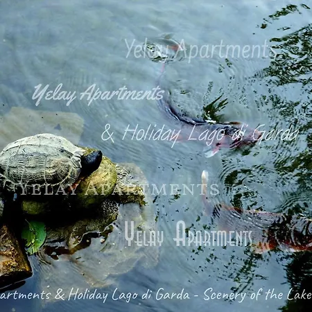 Yelay & Holiday Lago Di Garda Апартаменты