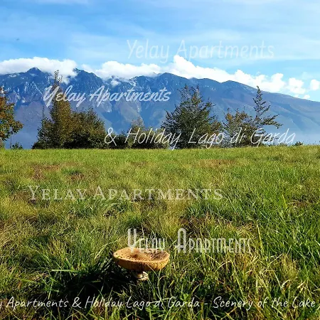 Yelay & Holiday Lago Di Garda Апартаменты