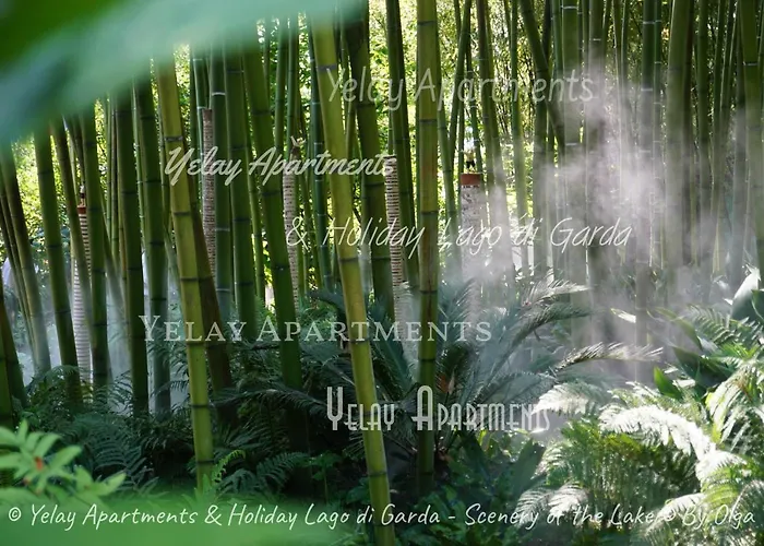 Yelay & Holiday Lago Di Garda *