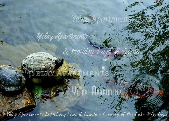 Yelay & Holiday Lago Di Garda Apartment